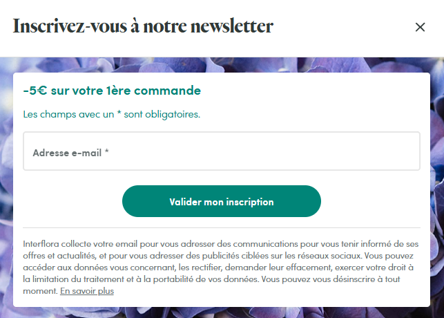 Newsletter.PNG